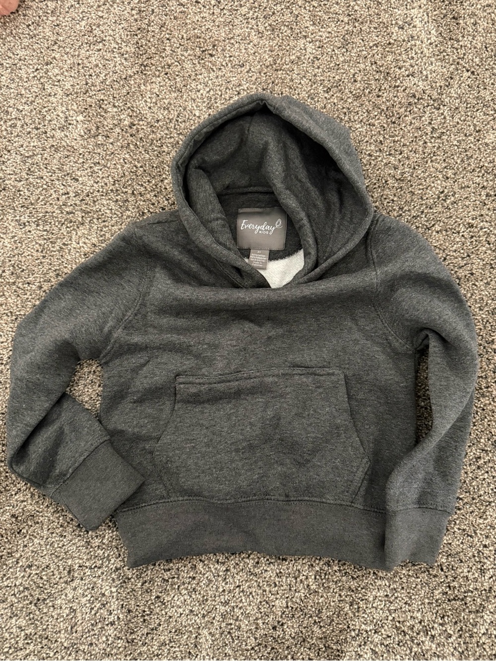 Everyday Cozy Dark Gray Hooded Sweatshirt Toddler 3T